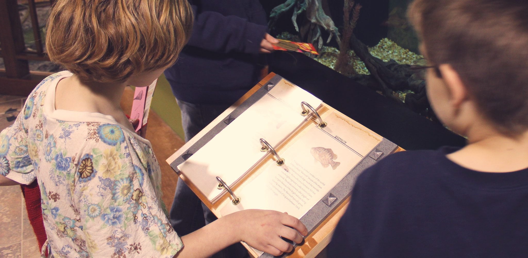 Make Your Own Museum Flipbooks