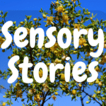 Sensory Stories: Awakening Memories with Smell, Sound, and Touch
