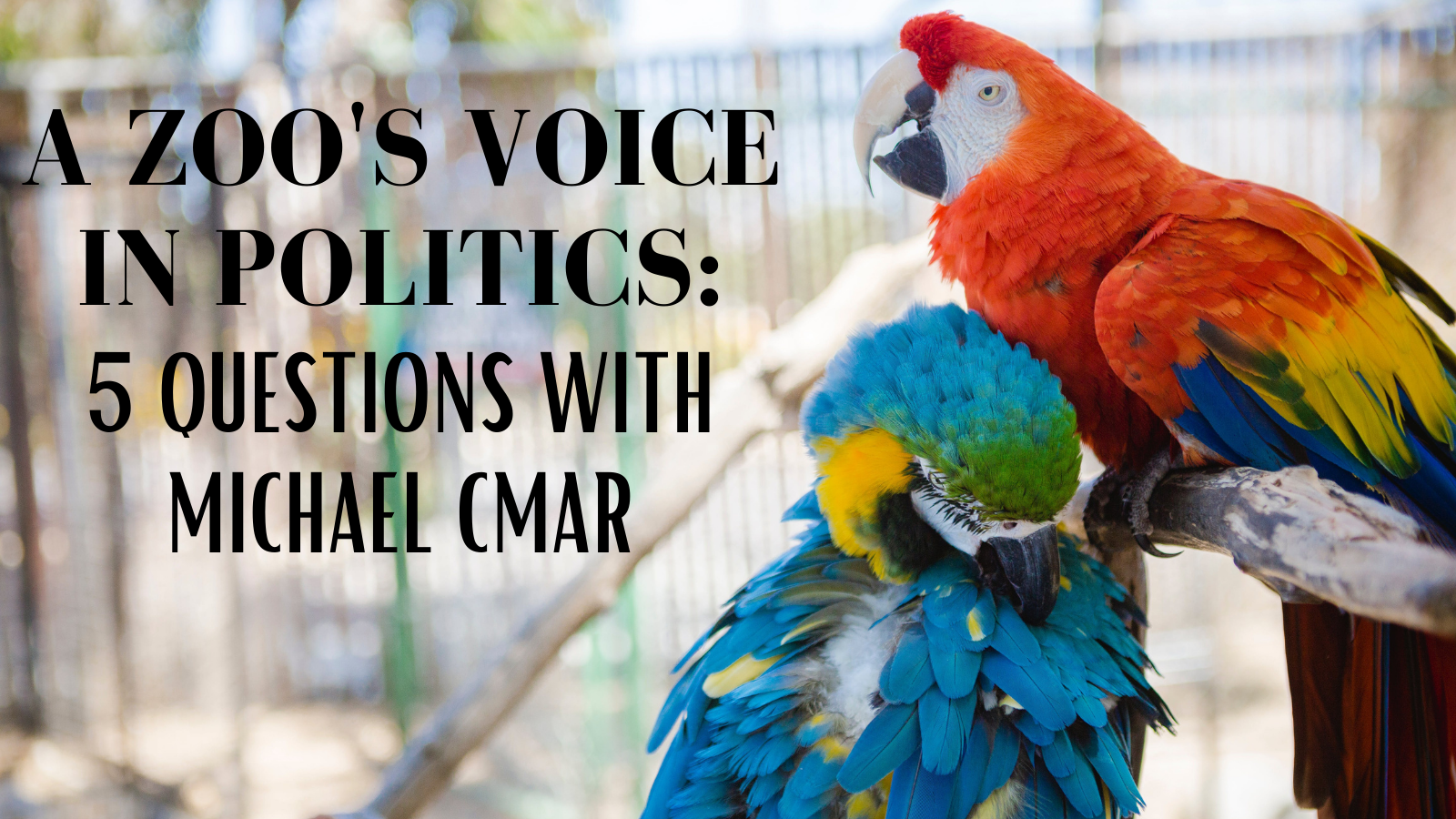 A Zoo’s Voice in Politics: 5 Questions with Michael Cmar