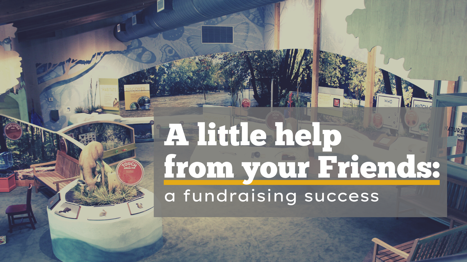 A Little Help From Your Friends: A Fundraising Success