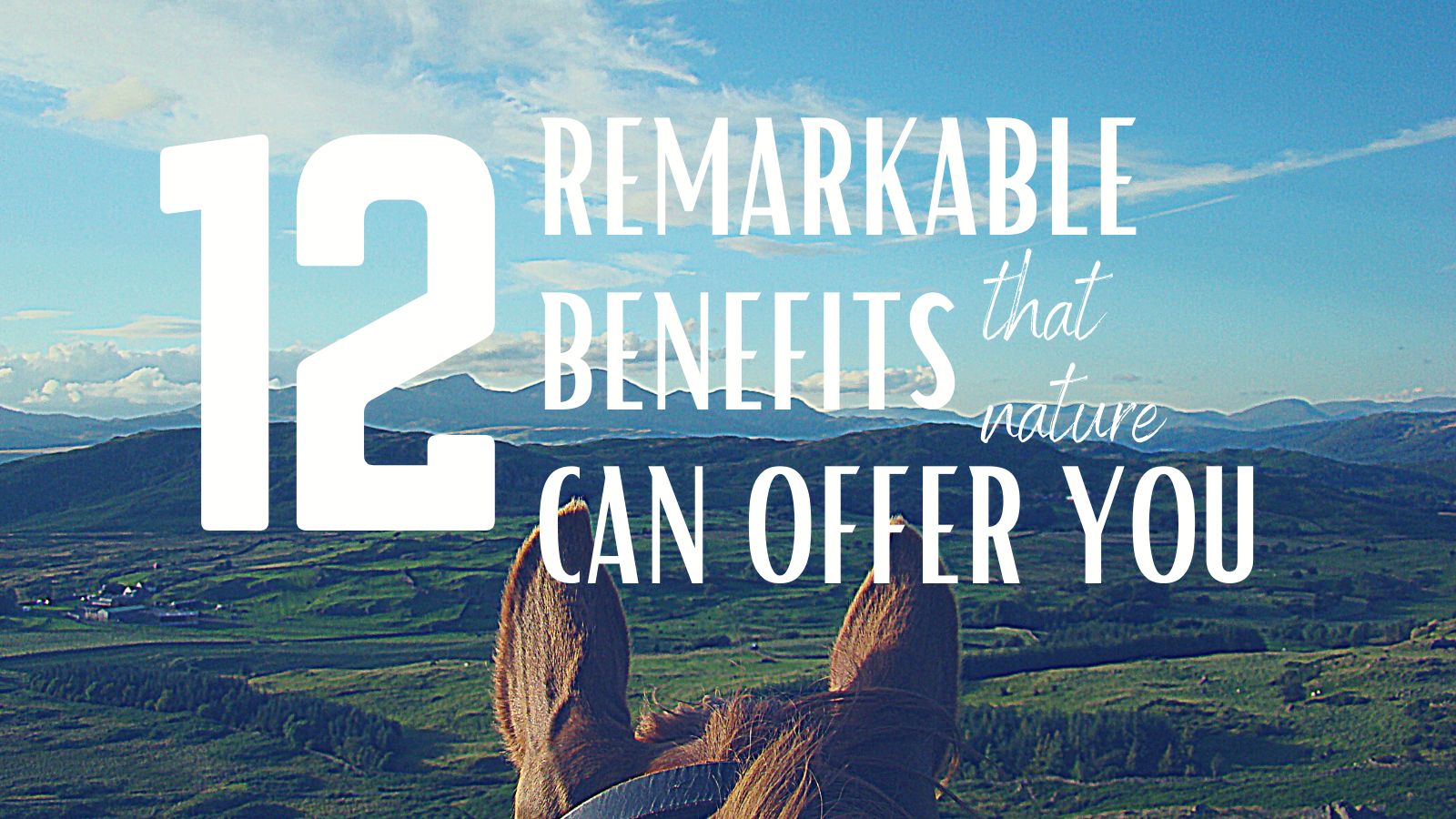 12 Remarkable Benefits That Nature Can Offer You