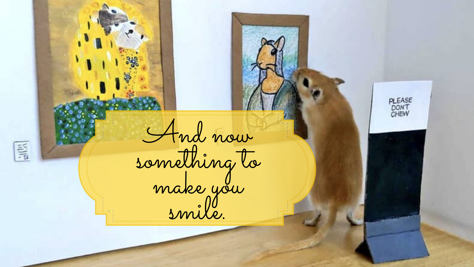 And Now for Something to Make You Smile