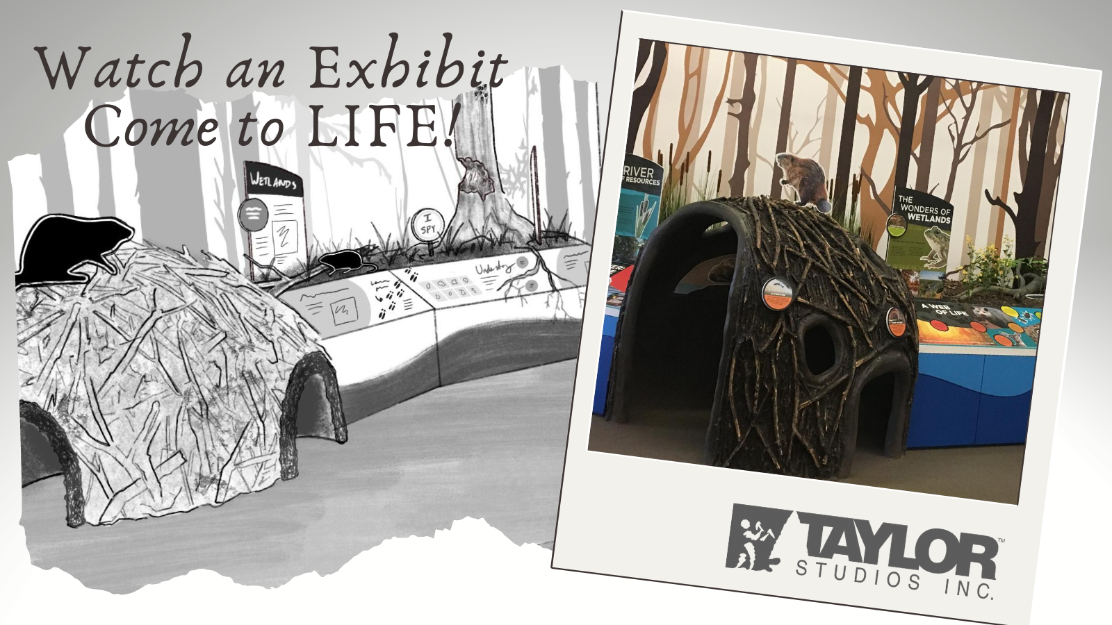 Watch an Exhibit come to LIFE!