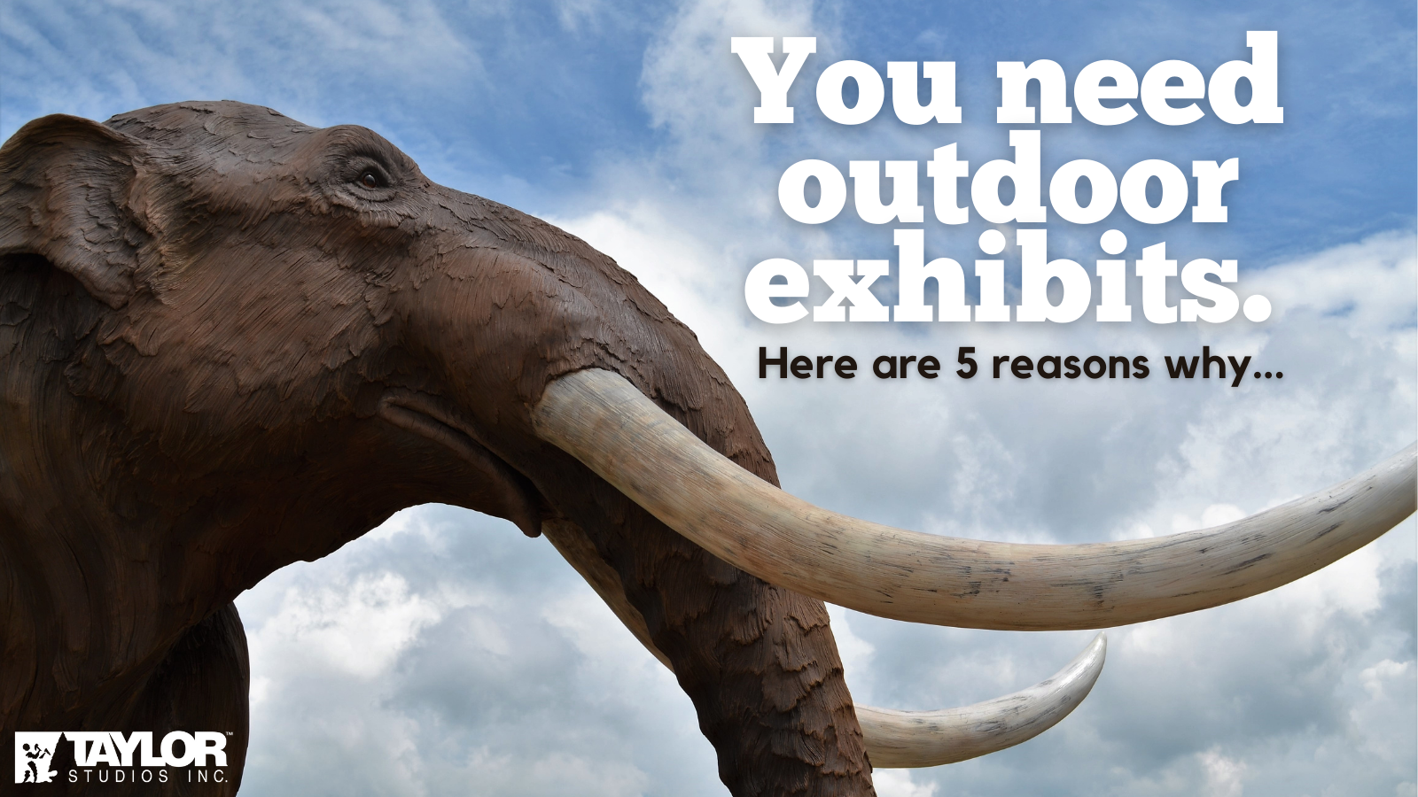 You Need Outdoor Exhibits! Here Are Five Reasons Why