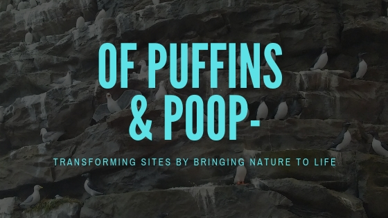 Of Puffins and Poop – Transforming Sites by Bringing Nature to Life