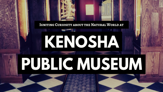 Igniting Curiosity about the Natural World at Kenosha Public Museum