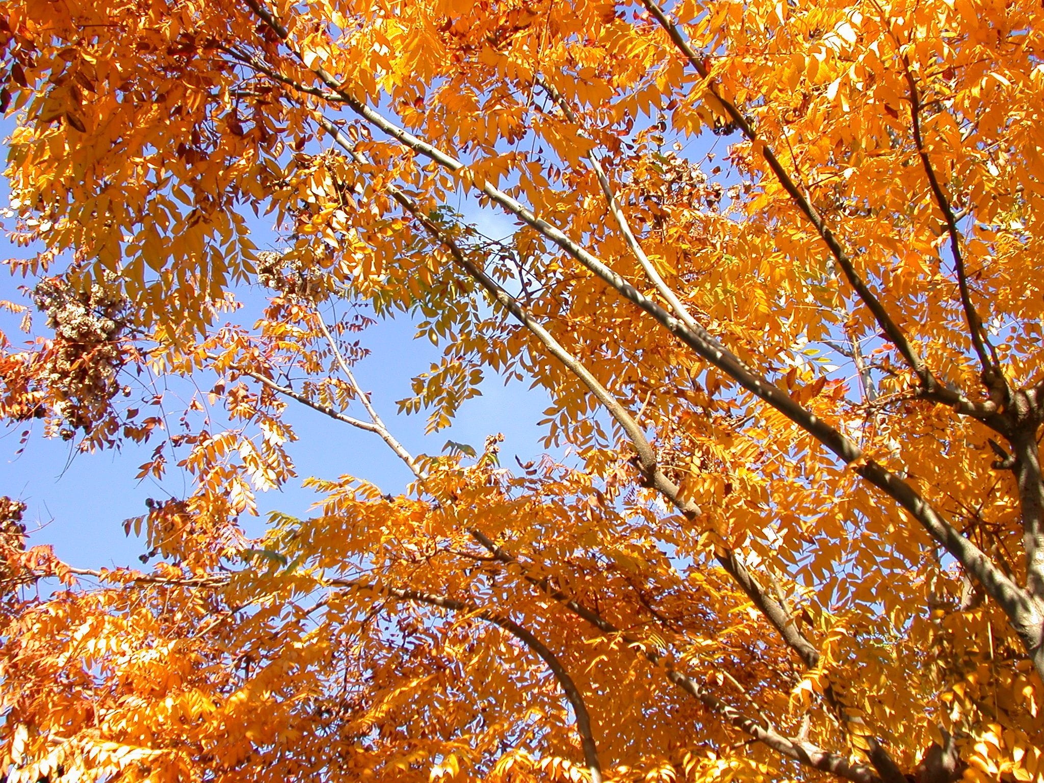 Good and Bad News for Museums and Parks and What to Do About It