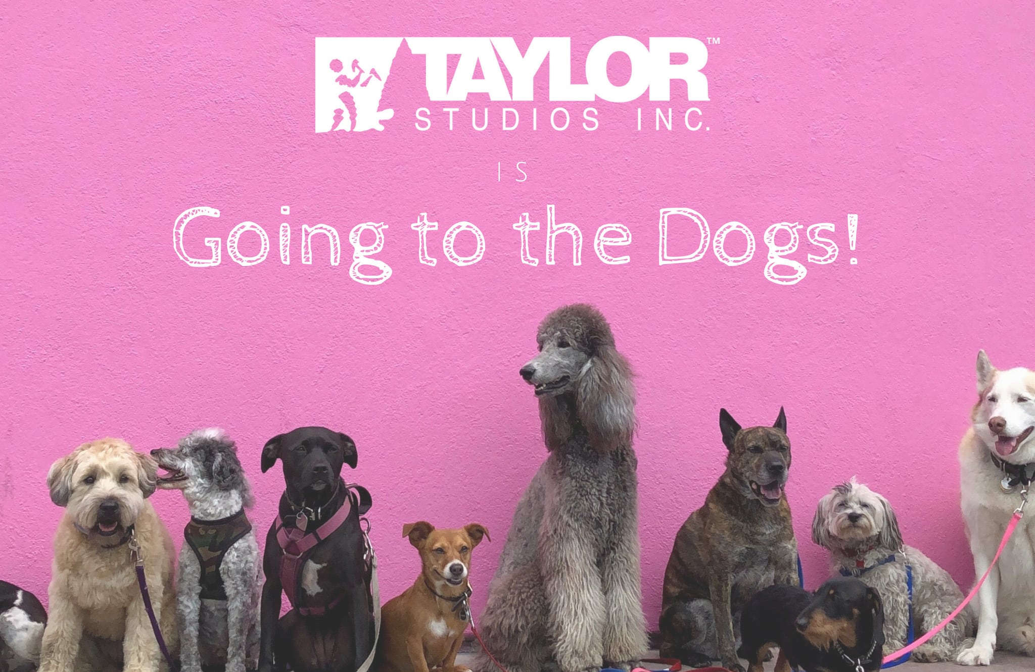 Taylor Studios Is Going To The Dogs