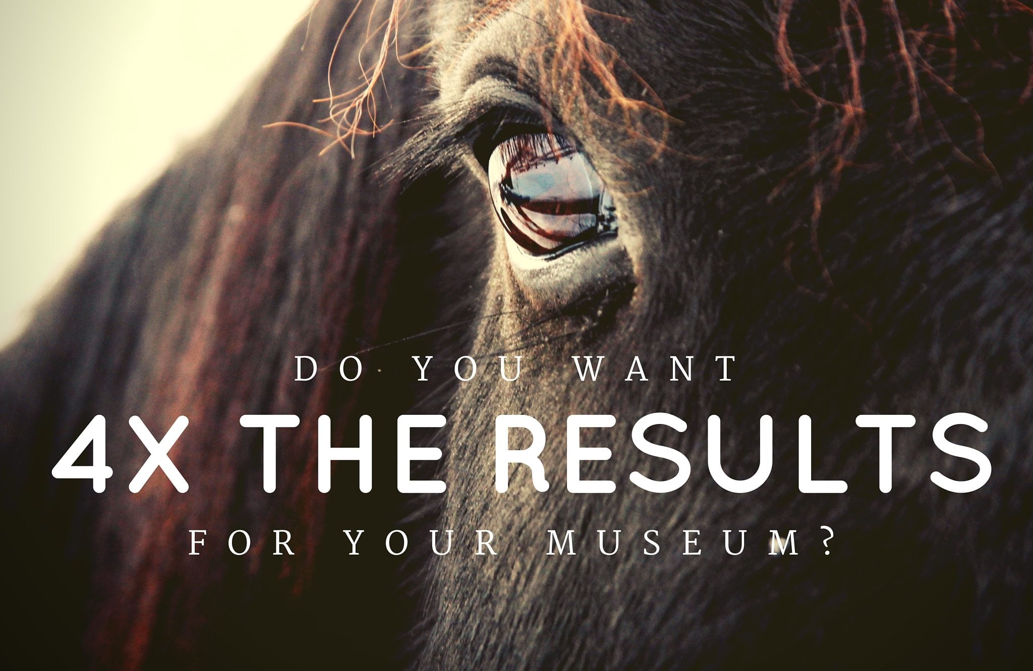 Do You Want Four Times the Results for Your Museum?