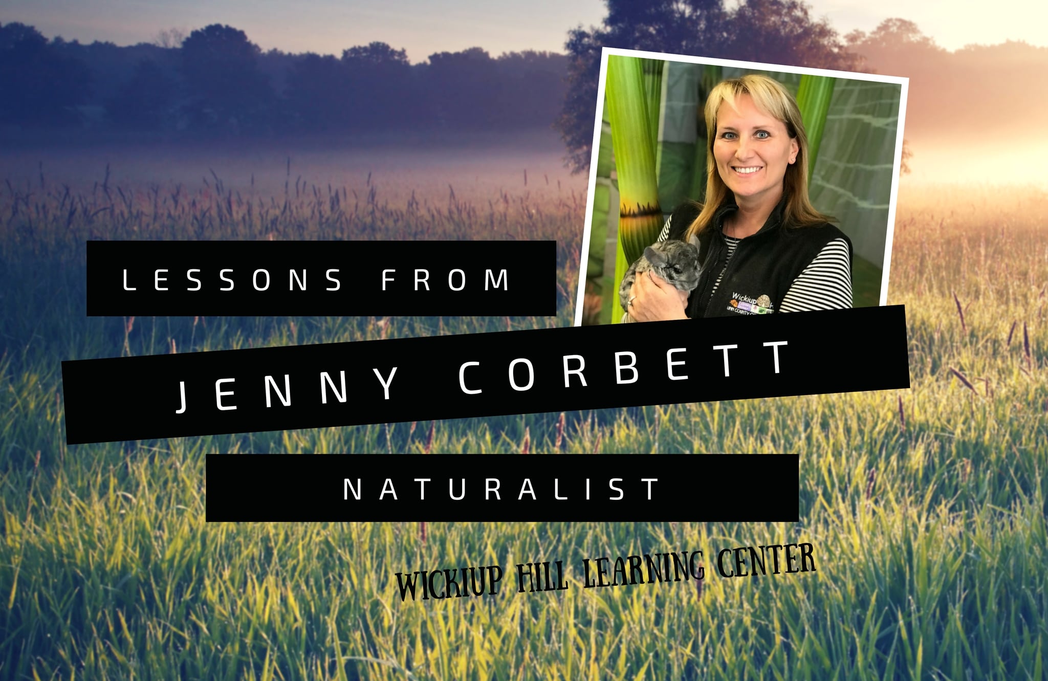 Experts in the Field: Lessons from Jenny Corbett