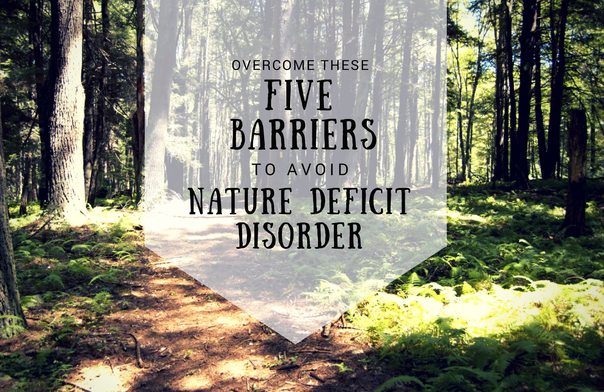 Overcome These Five Barriers to Avoid Nature Deficit Disorder
