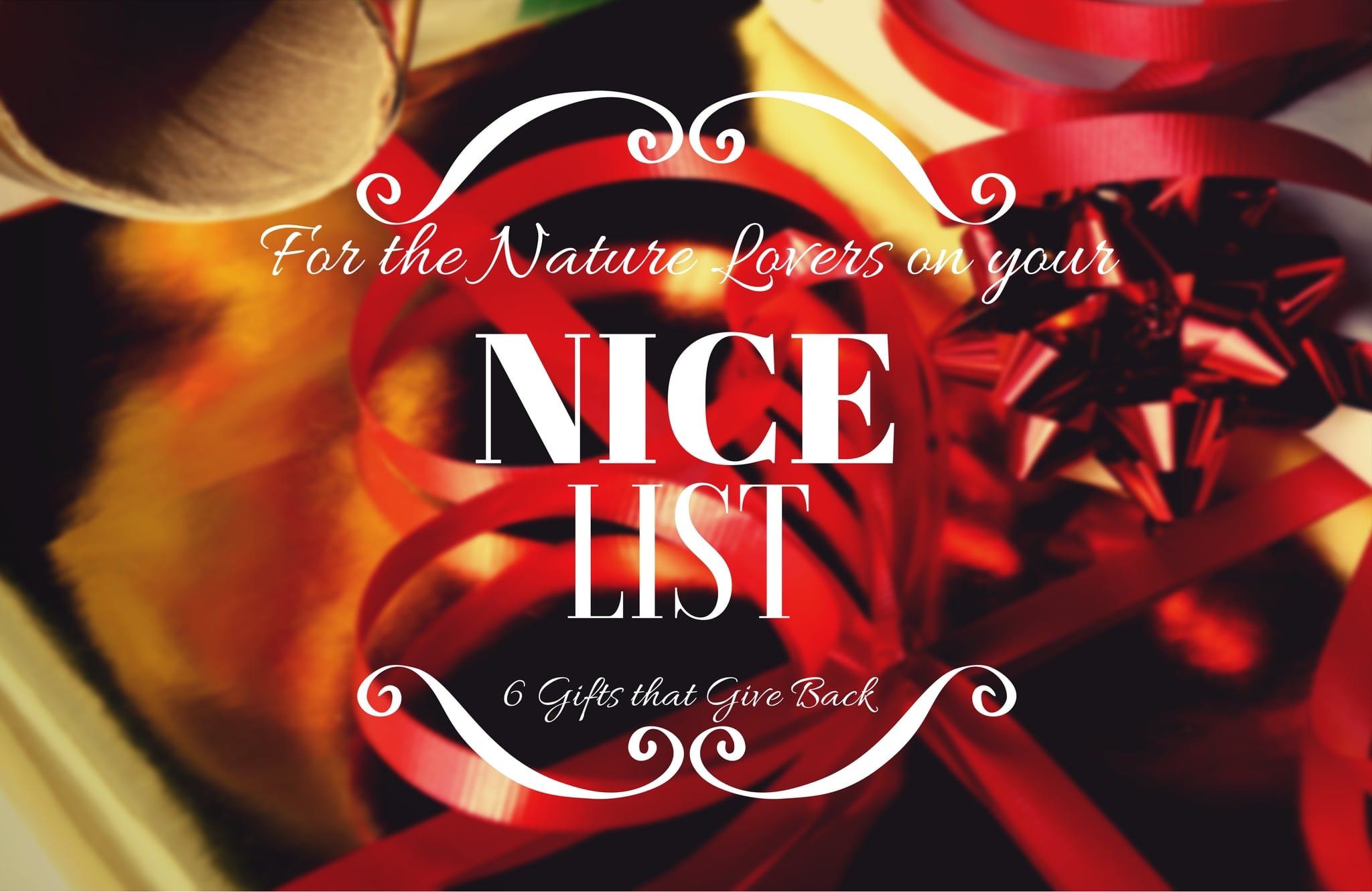 For the Nature Lovers on your Nice List: 6 Gifts that Give Back