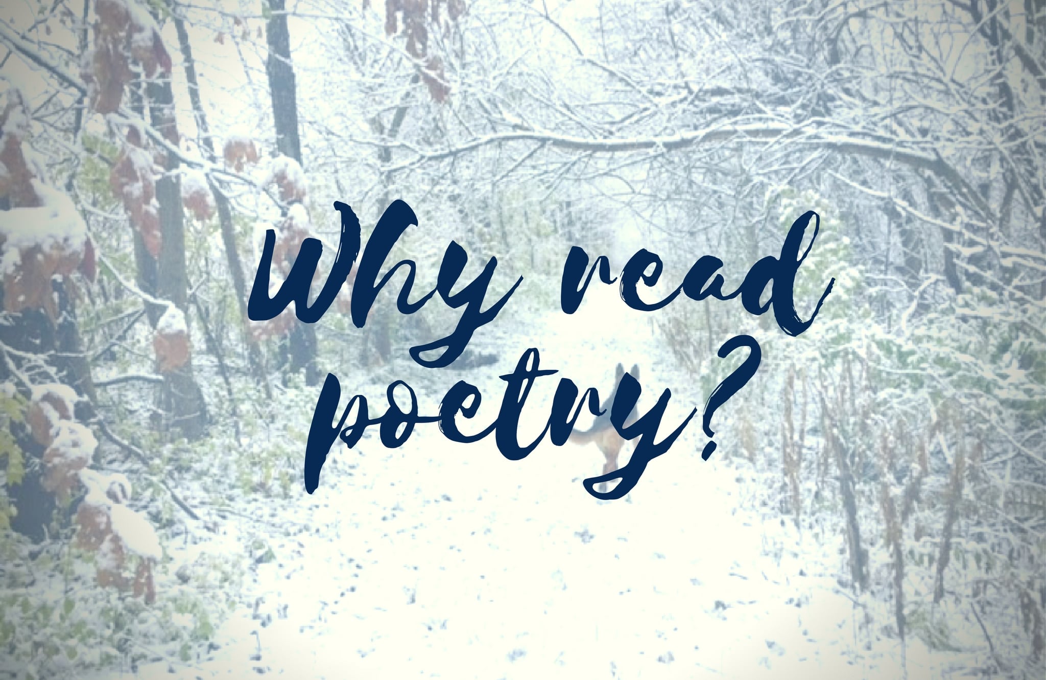 Why read poetry?
