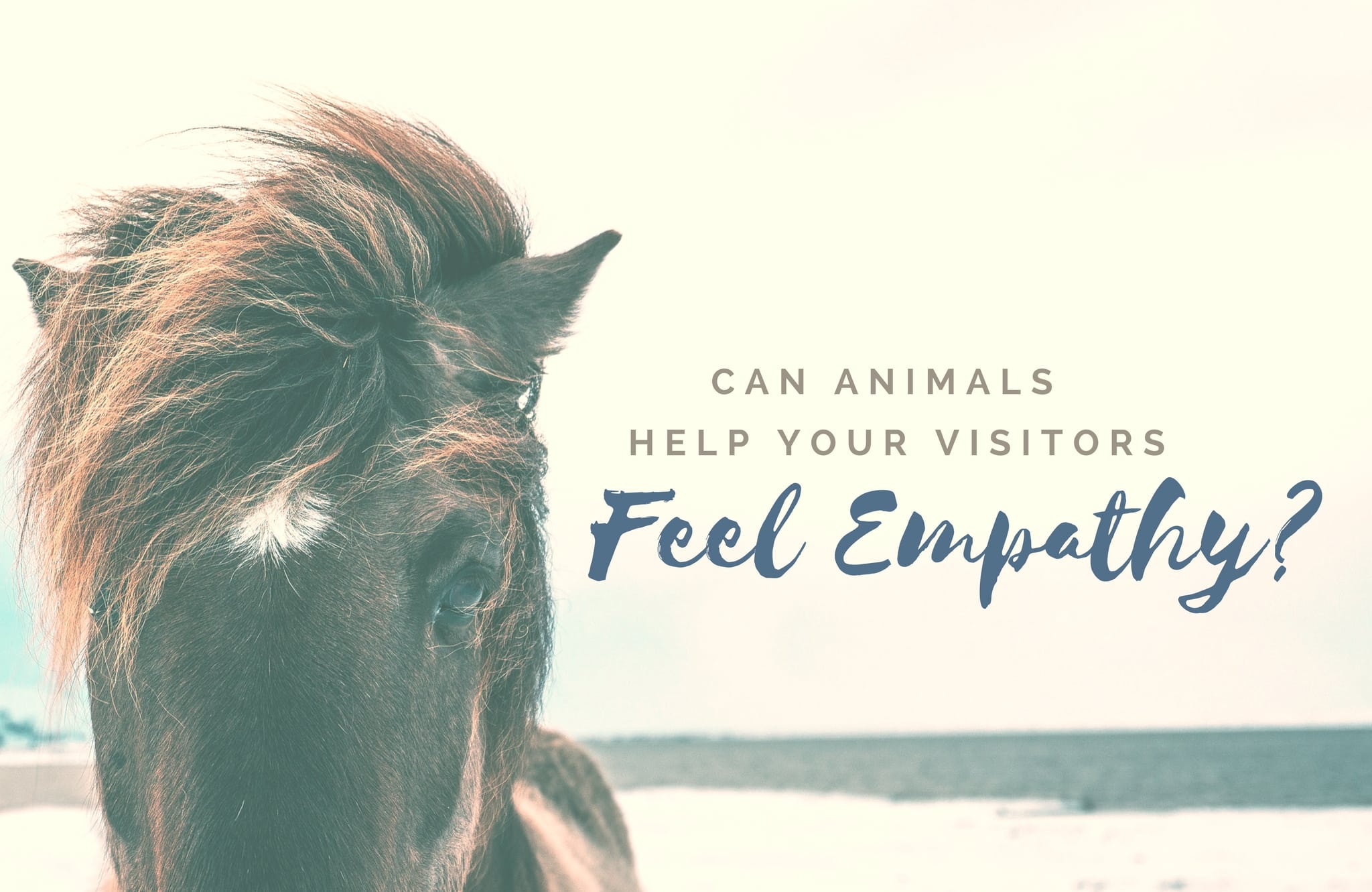Can Animals Help Your Visitors Feel Empathy?