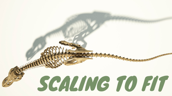 Scaling to Fit