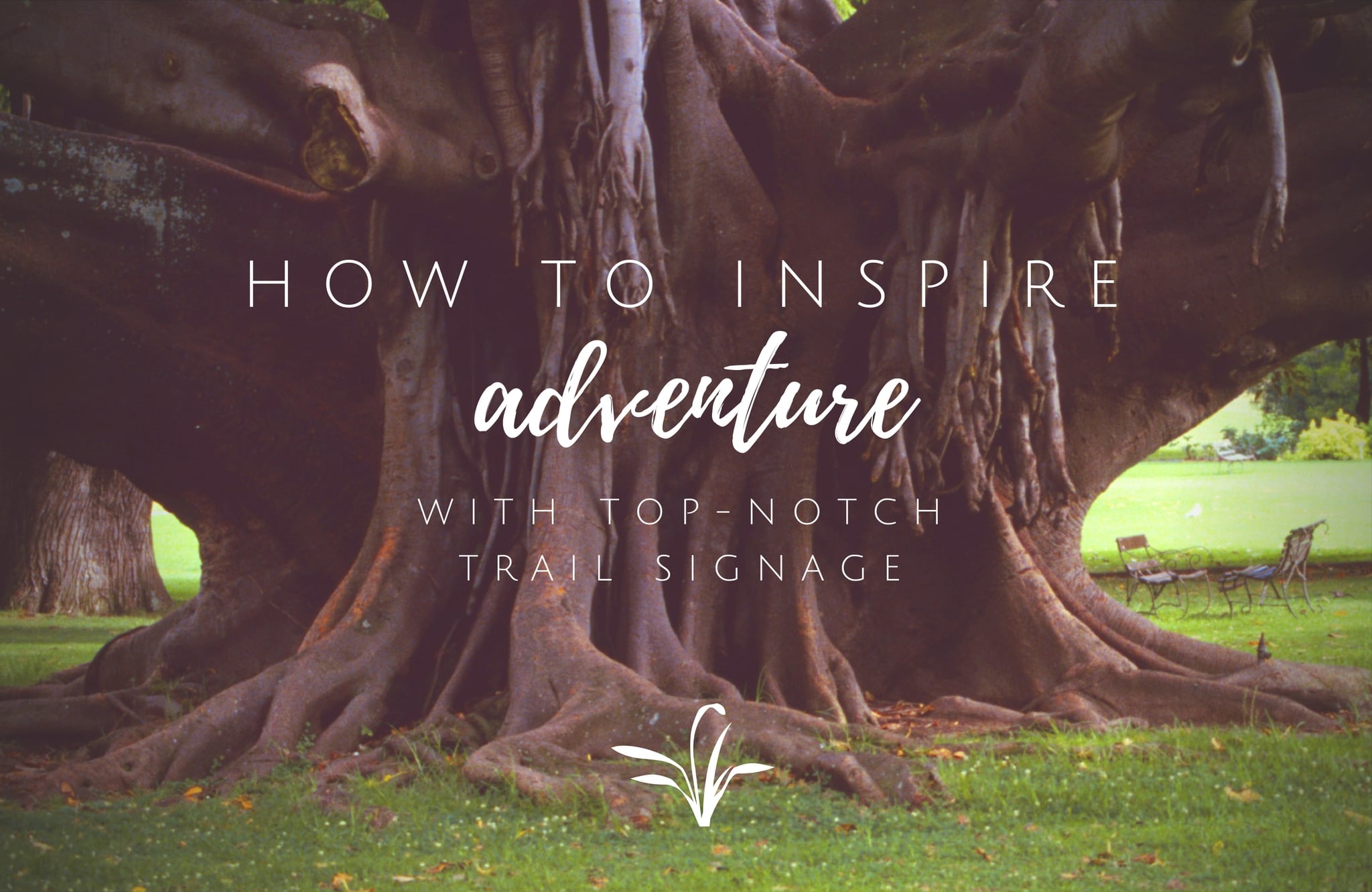 How to Inspire Adventure with Top-Notch Trail Signage