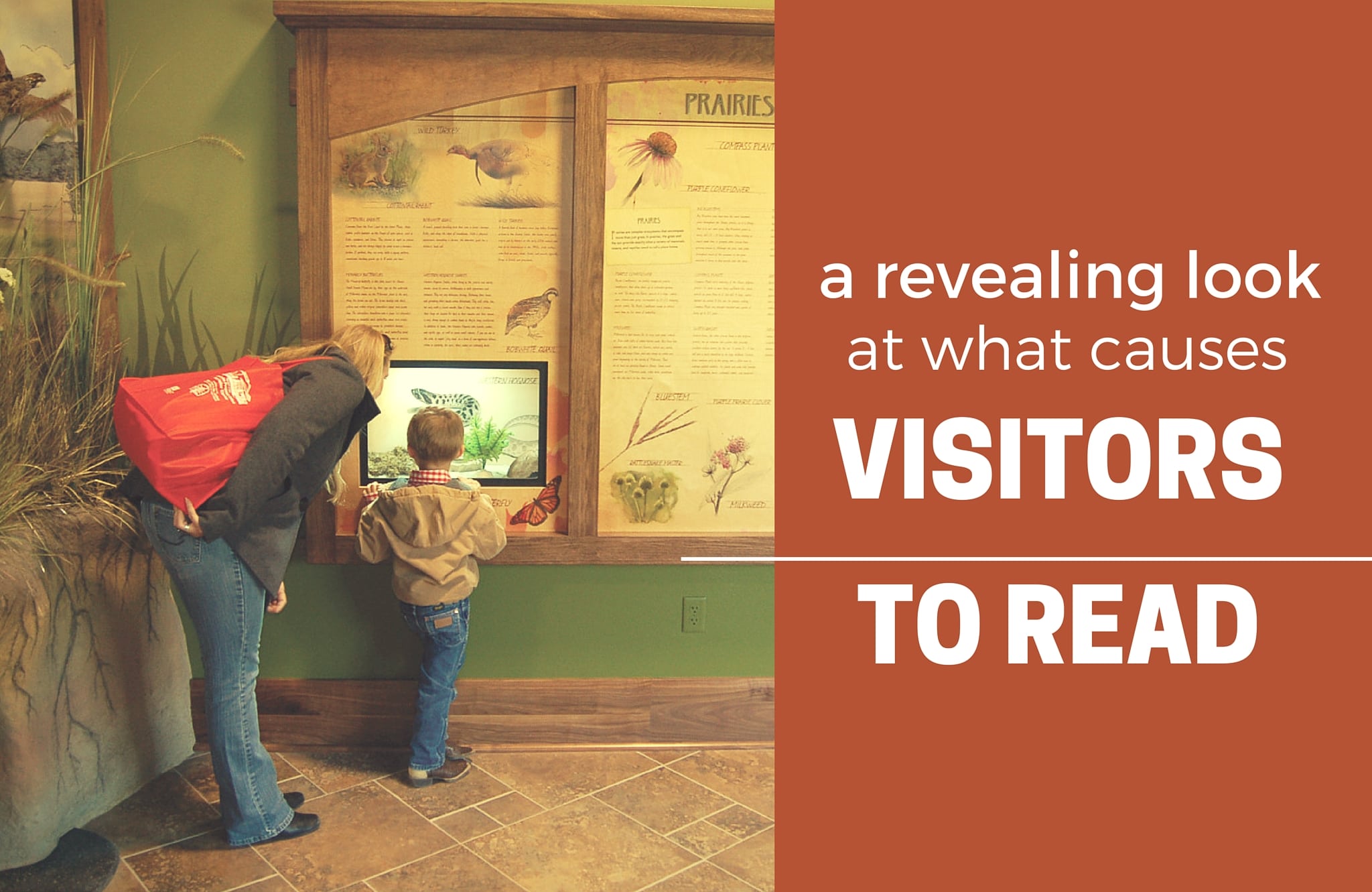 A Revealing Look at What Causes Visitors to Read