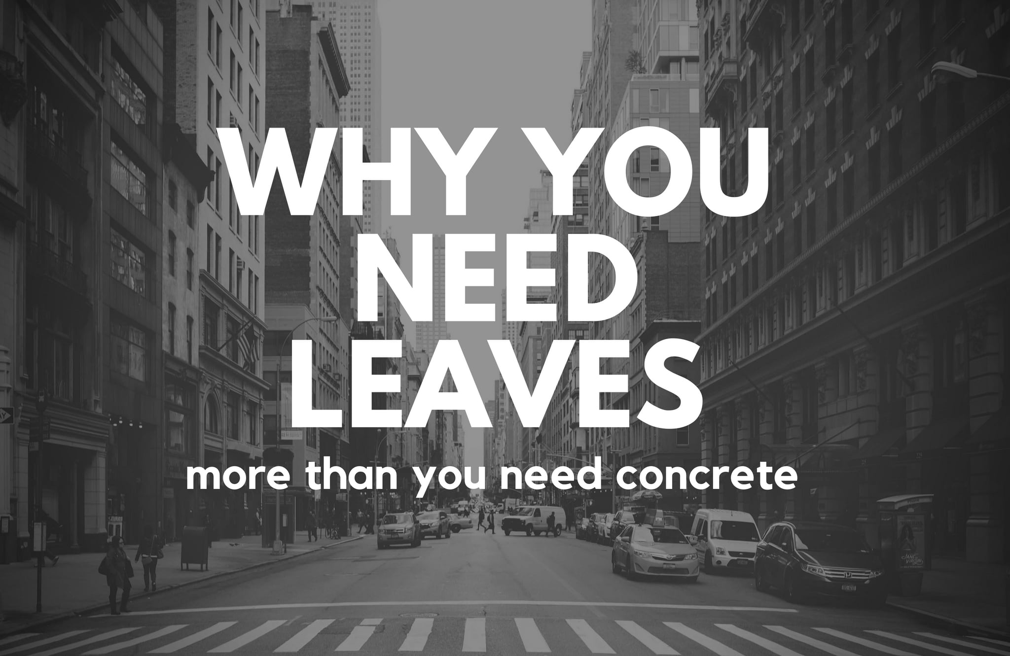 Why You Need Leaves More Than You Need Concrete