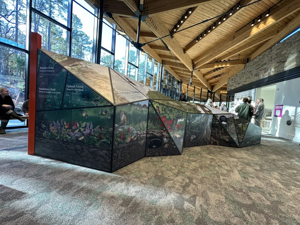 Pinnacle Mountain State Park