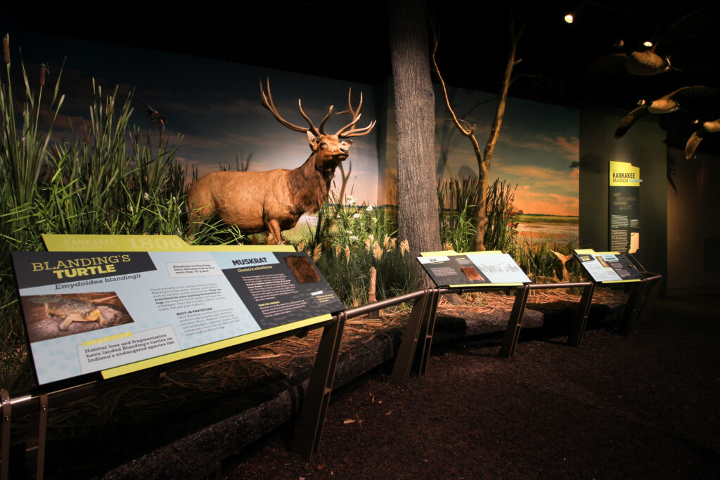 Faux nature environment with informational panels in the foreground