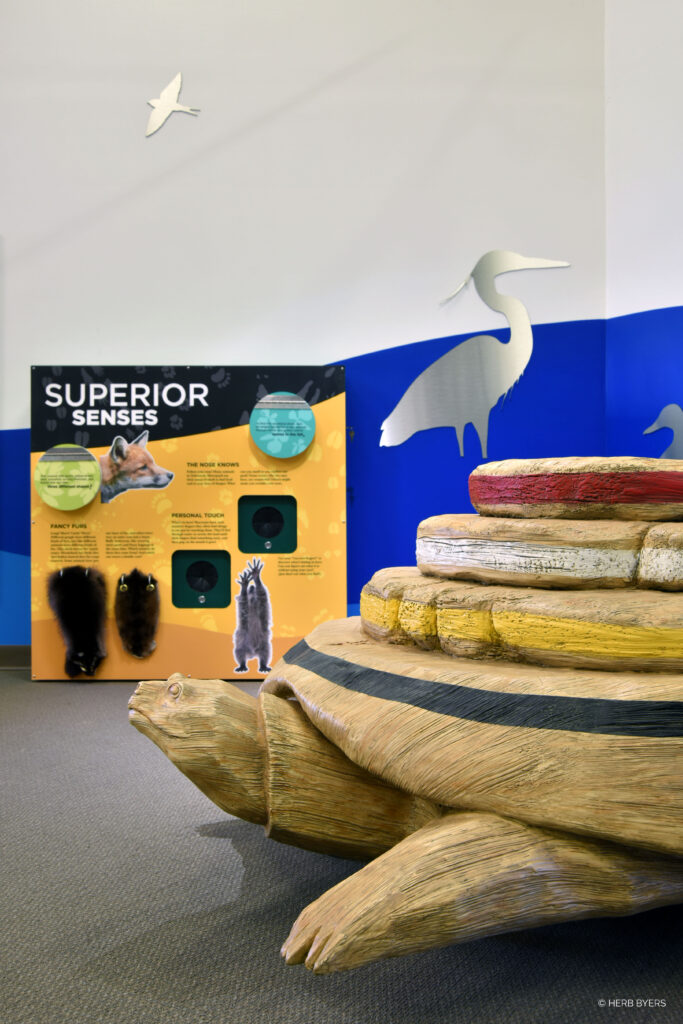 Wooden figure of a turtle with a stacked shell. A bird silhouette in silver is in the background next to an exhibit about animal senses.