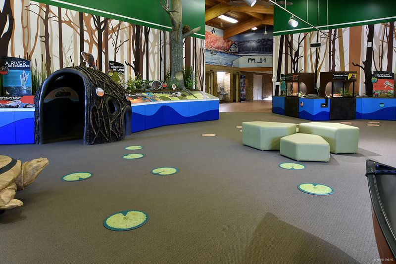 overview of the main area at Oakwoods Nature Center with lilly pads, a beaver dam, and tree images