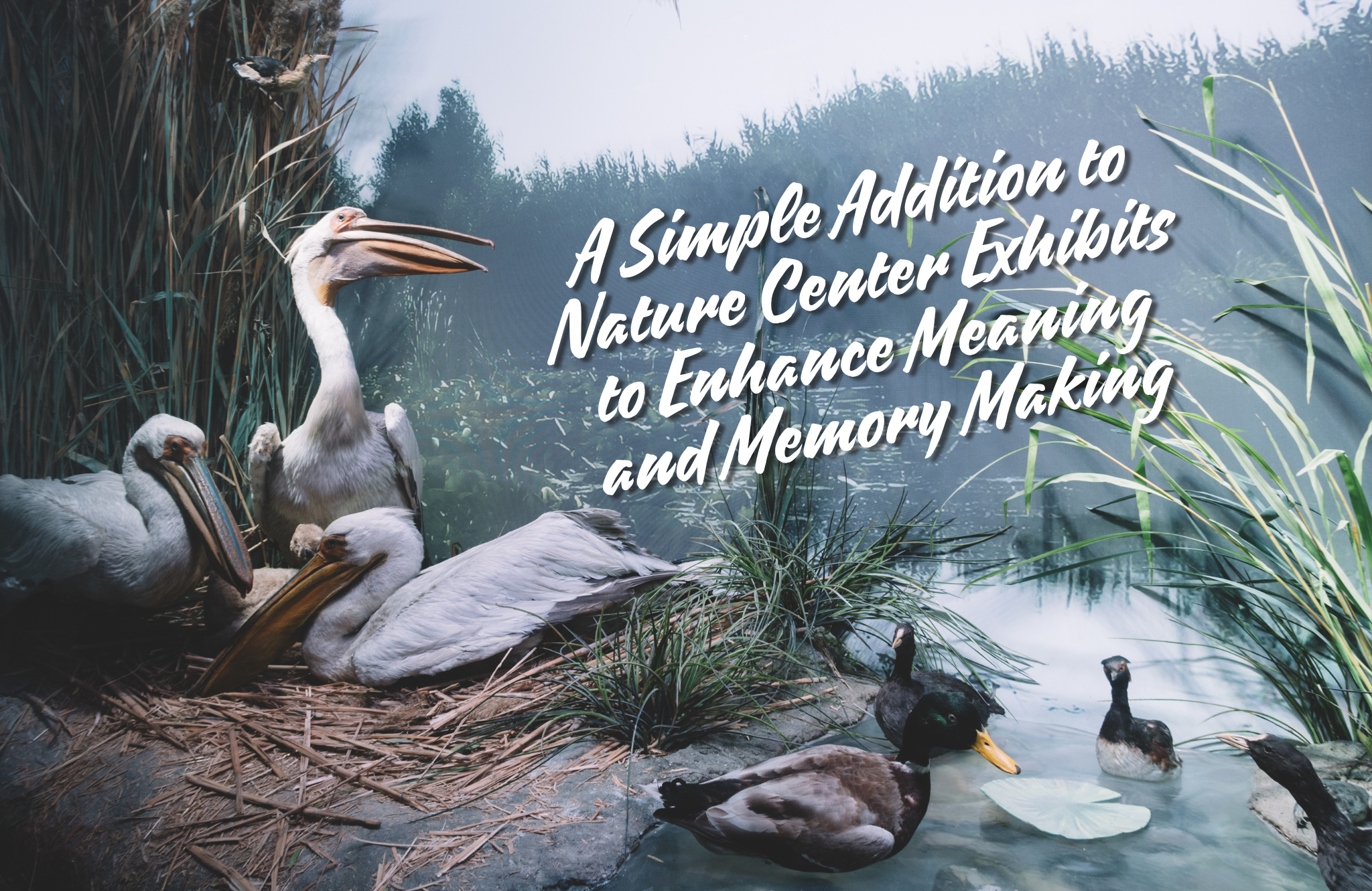 A Simple Addition to Nature Center Exhibits to Enhance Meaning and Memory Making