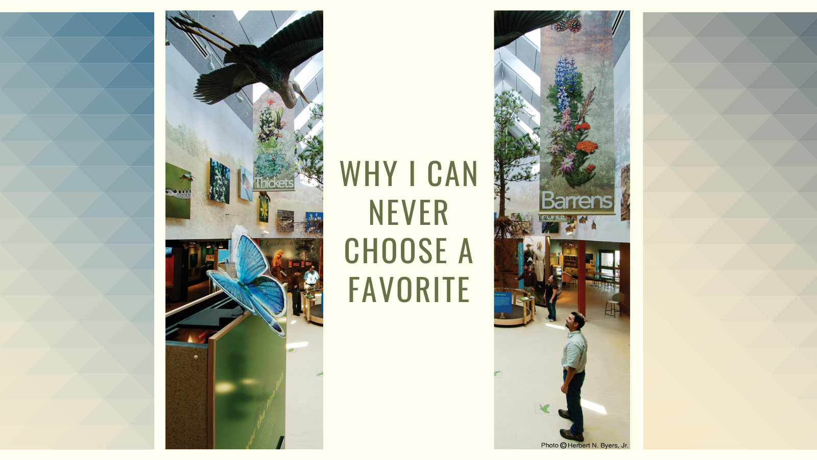 Why I Can Never Choose a Favorite