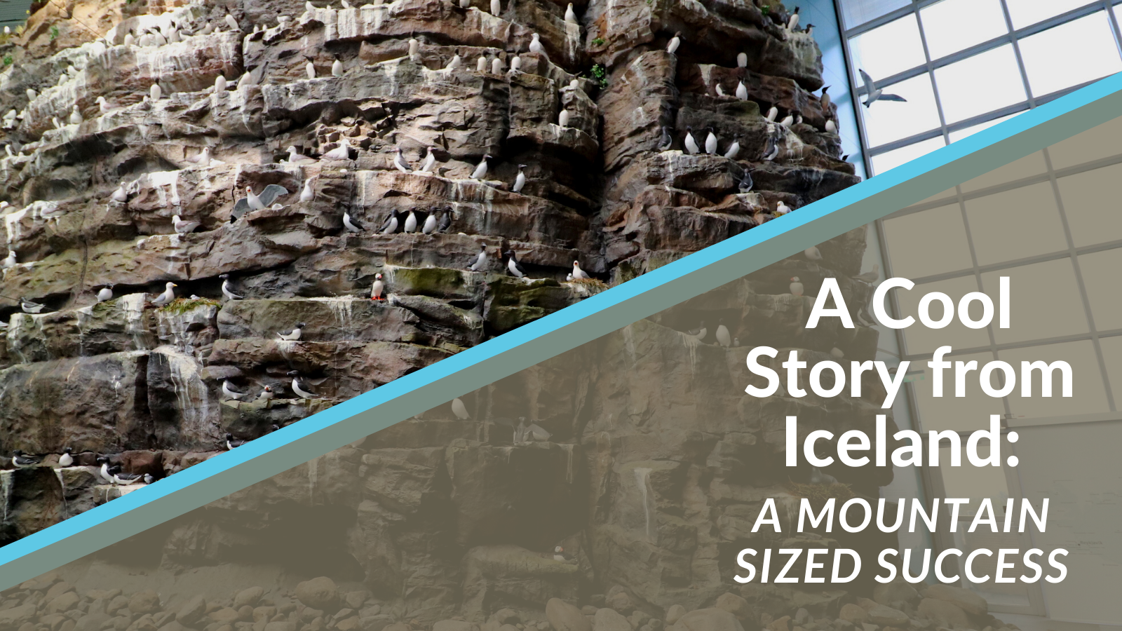 A Cool Story from Iceland: a mountain sized success