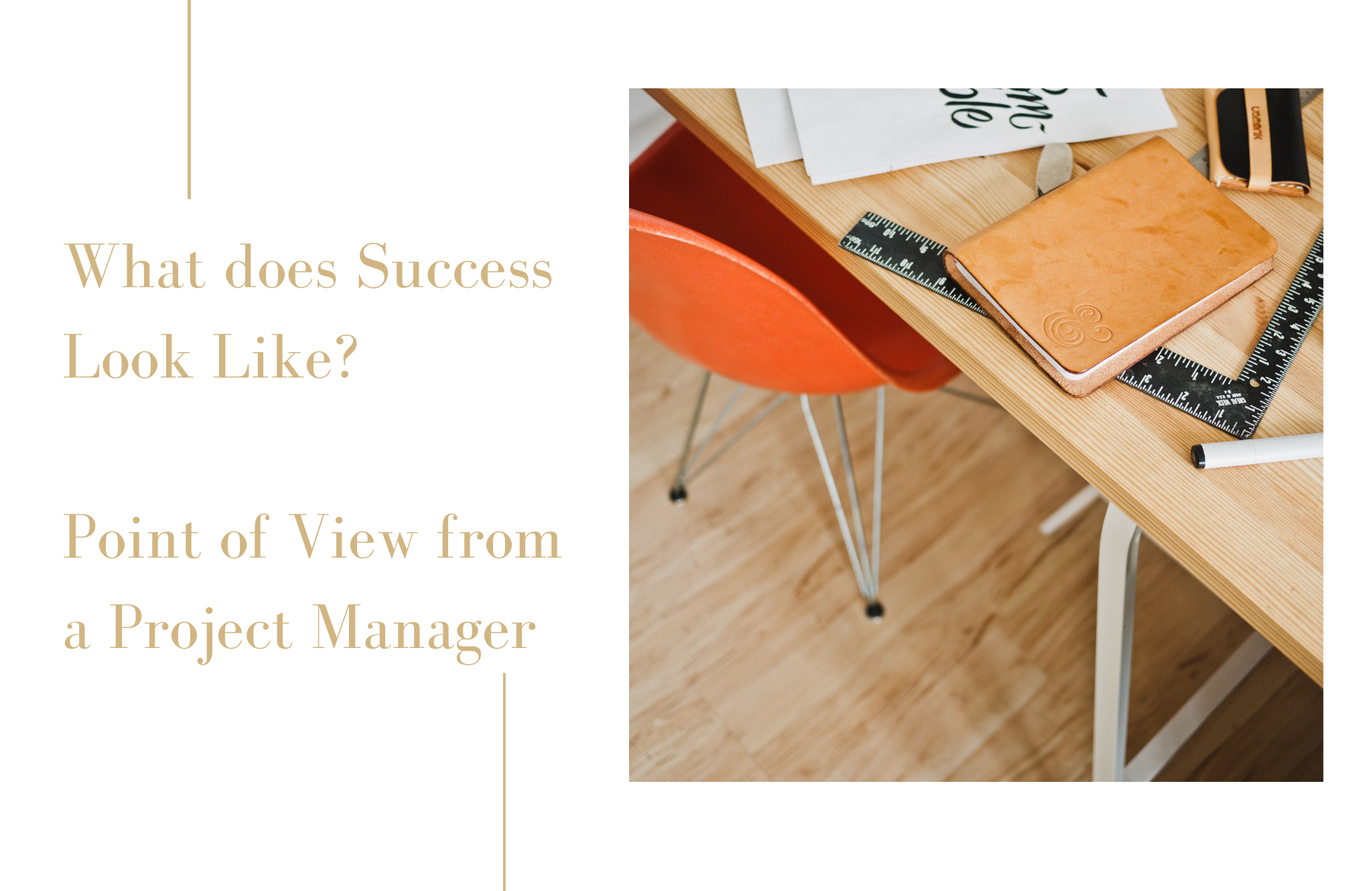 What does Success Look Like? Project Manager Point of View