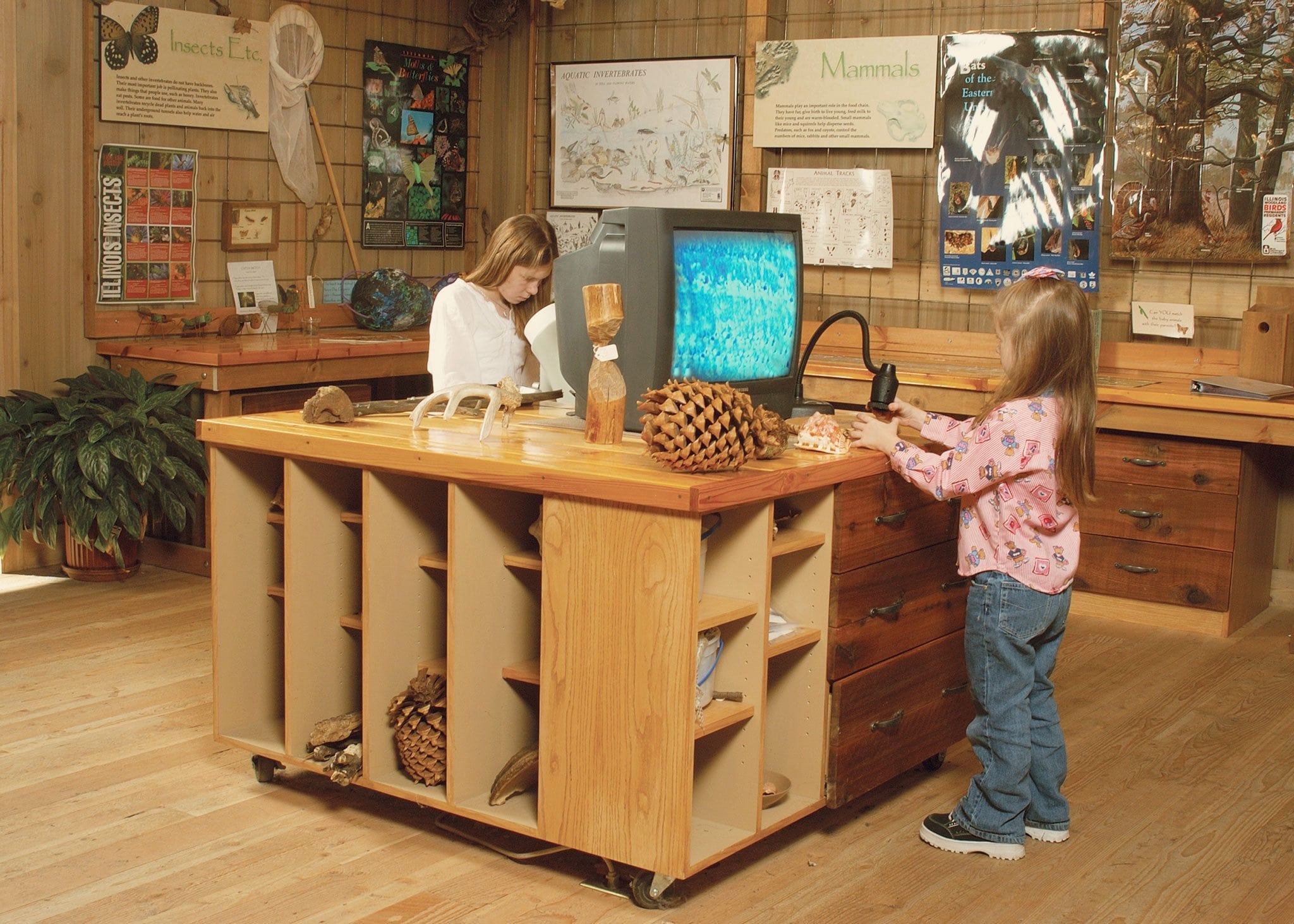 Do It Yourself Exhibit Design and Fabrication