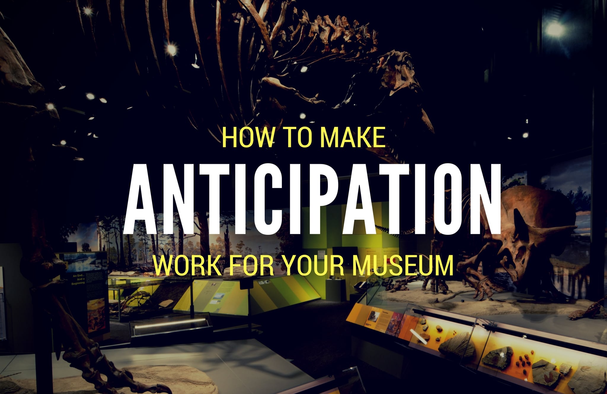 How to Make Anticipation Work For Your Museum