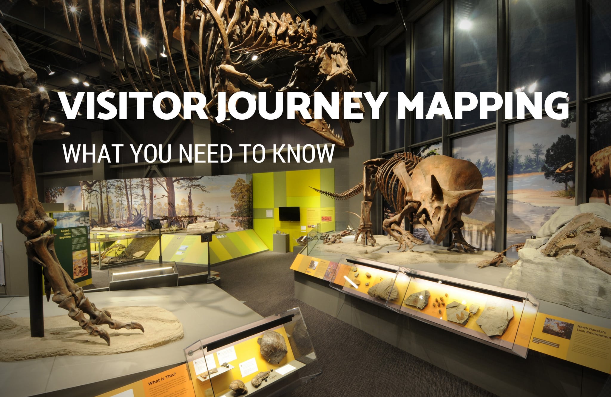 Visitor Journey Mapping; What You Need To Know