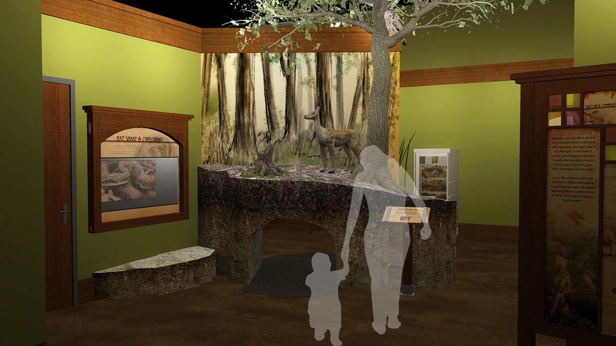 Creating a Museum Exhibit