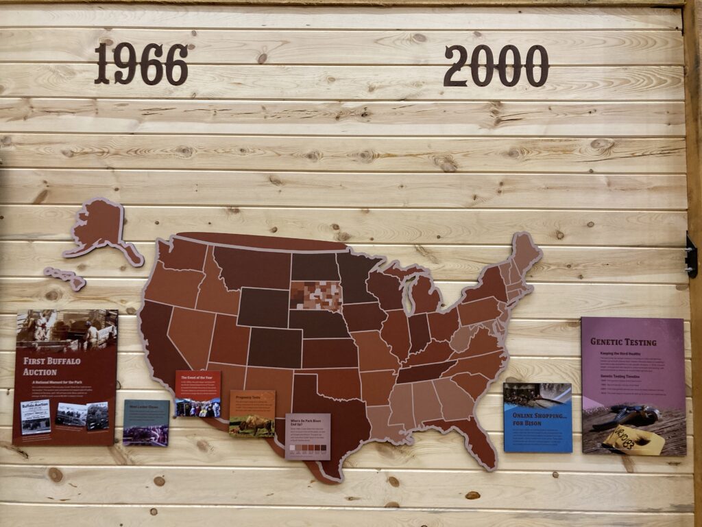 Bison history exhibit with United States map 