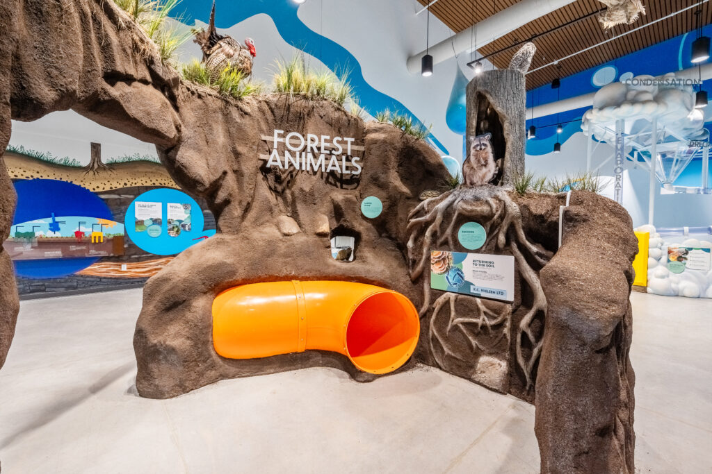 forest animals exhibit with racoon and turkey figures and a bright orange crawl through tunnel for children to explore