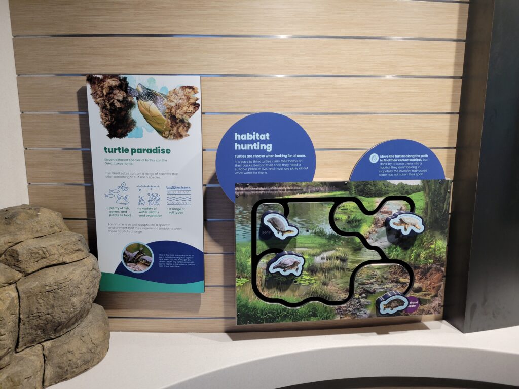 Custom exhibit signage and interactive teaching about turtles