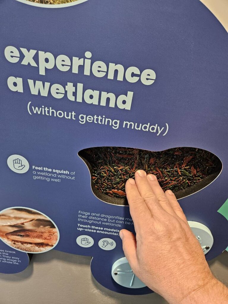 Custom exhibit signage and touch interactive teaching about wetlands. A hand is demonstrating the interactive.