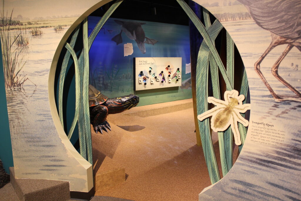 Circular entryway leading into a marsh environment. A turtle figure is shown just inside the entryway, pulling your eye towards the far wall with a water-like look.