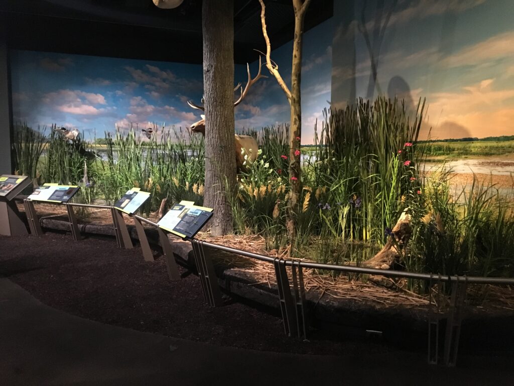 Faux nature environment with informational graphics in the foreground