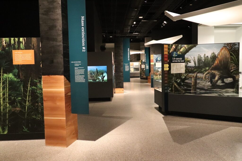 Gallery entry showing the stages of extinction