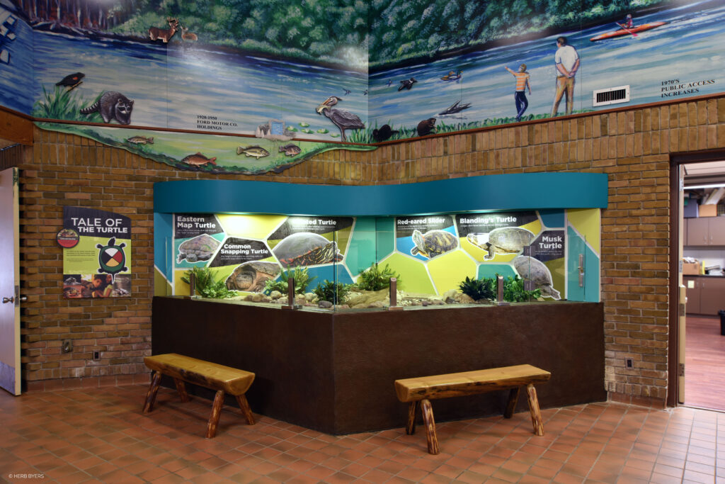 Turtle aquarium with benches to watch the turtles and read the information next to the tank