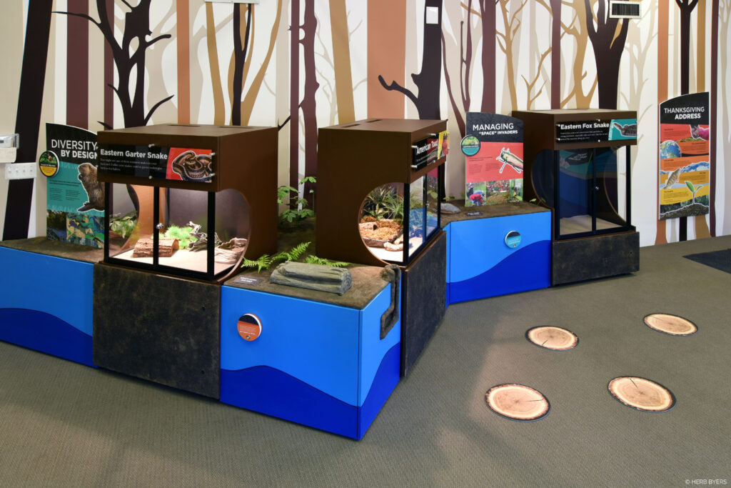 multiple live animal exhibit enclosures
