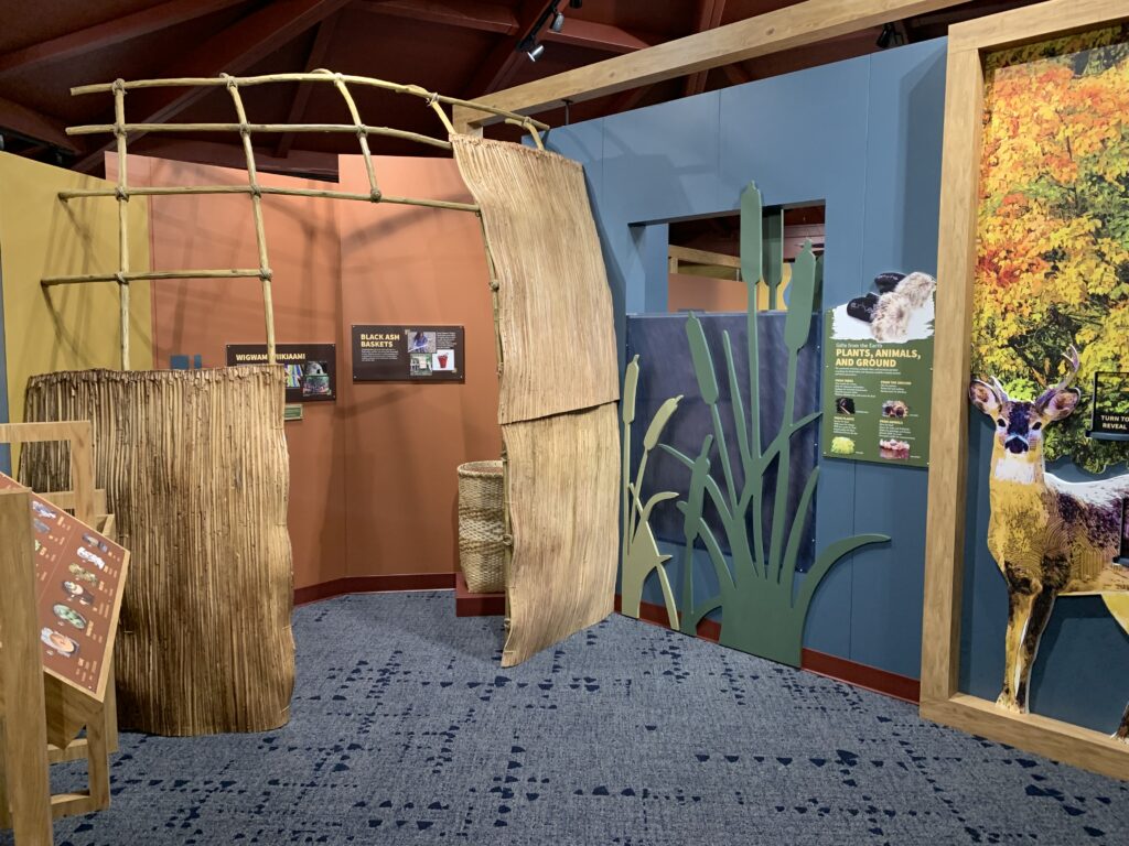 a partially build wigwam, oversized cattails, and nature scene are showcased in this exhibit area