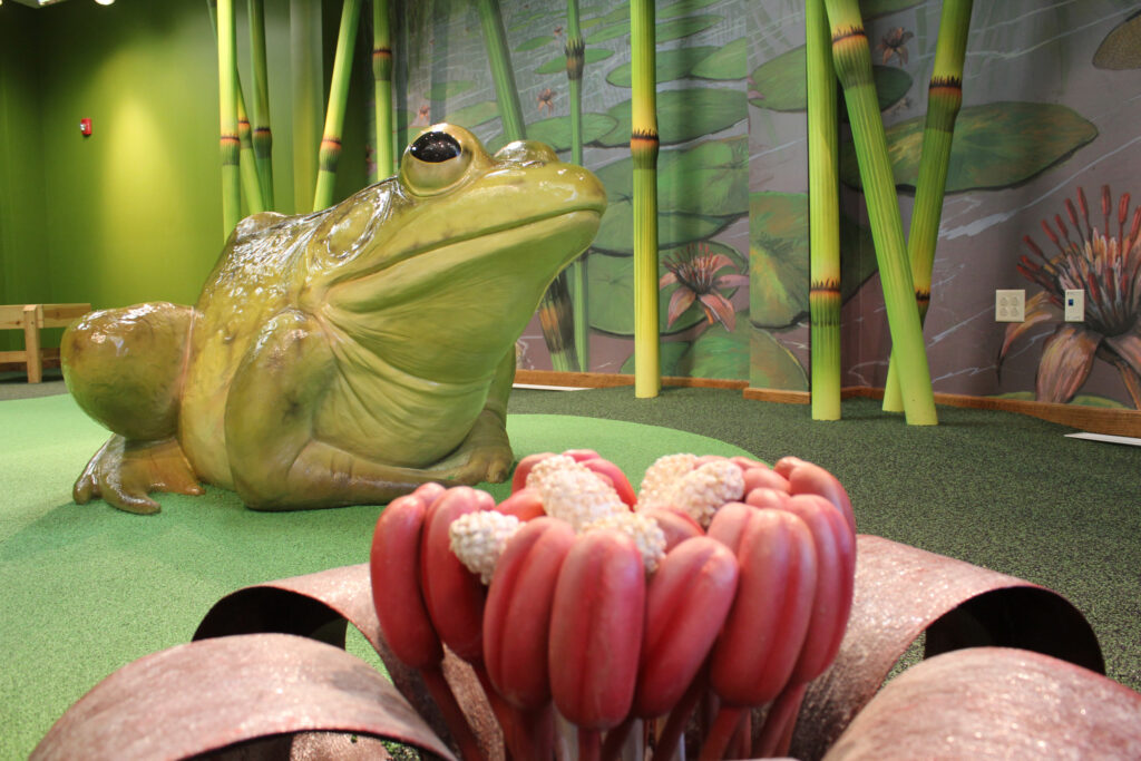 An oversized nature scene focusing on a large green frog and flower.