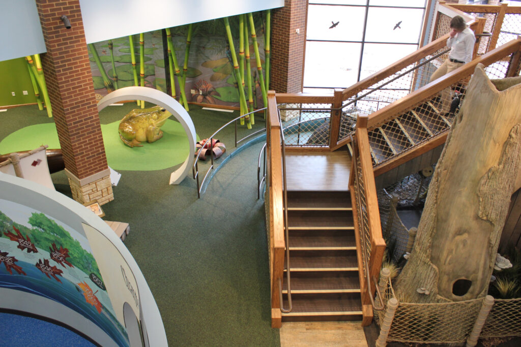Looking down on the center's spaces there is a staircase next to a half tree. In the background you can see the oversized nature area with a large frog.
