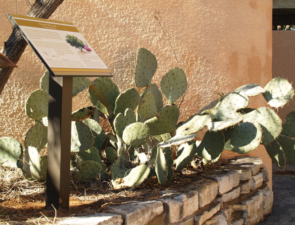 Area at Living Desert Zoo showing an outdoor custom-made sign providing additional information for visitors