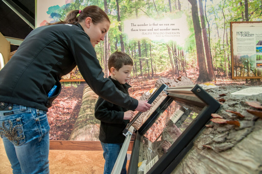 Two visitors engaging with the custom-made exhibits and exploring the new information.